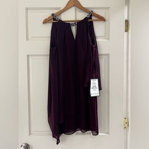 Elegant Eggplant Women's Dress